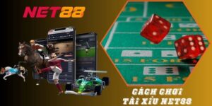 Chiến lược nâng cao tỷ lệ thắng khi chơi Tài xỉu Net88