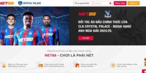 Giới Thiệu Về Cá Độ Bóng Đá Tại Net88