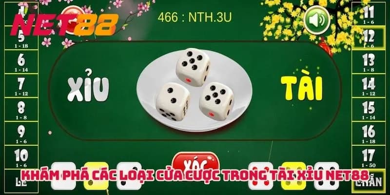 Một số lưu ý quan trọng khi chơi Tài xỉu Net88