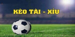 Tổng quan về kèo tài xỉu Net88